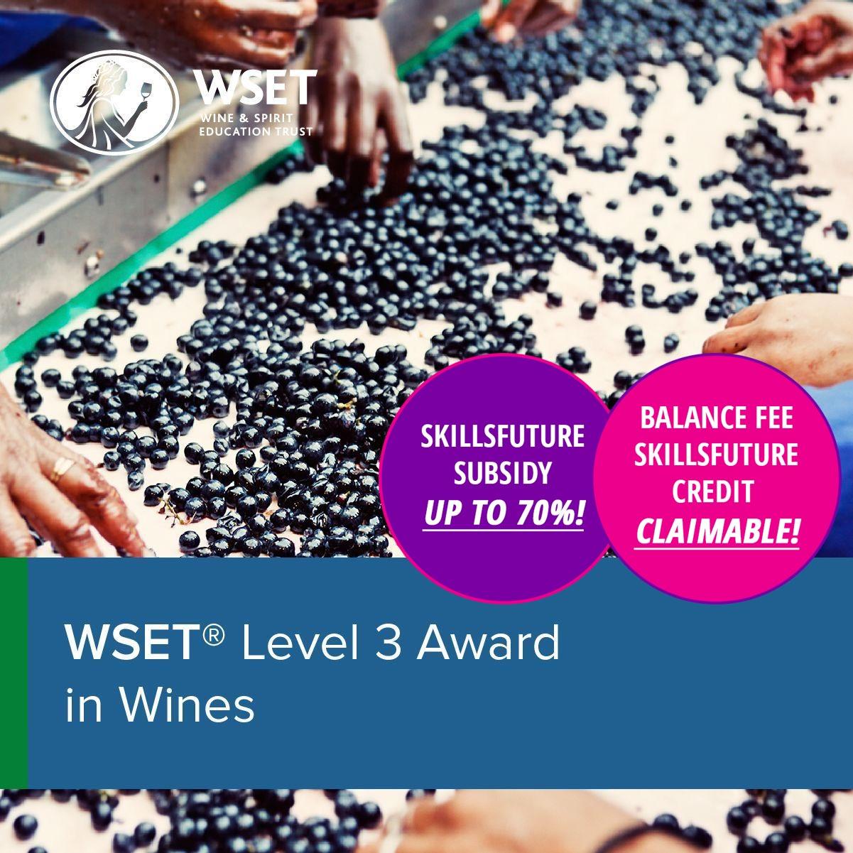 WSET Level 3 Award In Wines